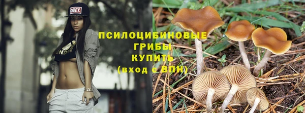 герыч Алексин