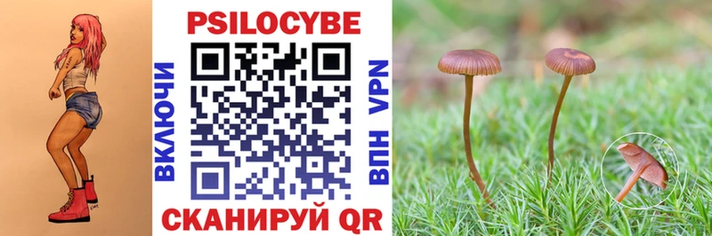 Псилоцибиновые грибы мухоморы  Данилов 