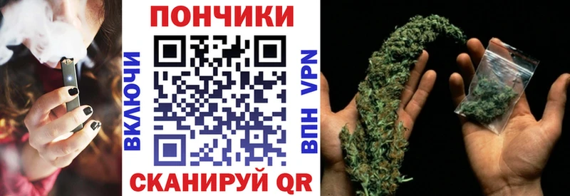 Шишки марихуана планчик Данилов